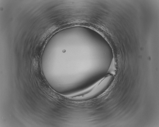 X0000068771257200605191639