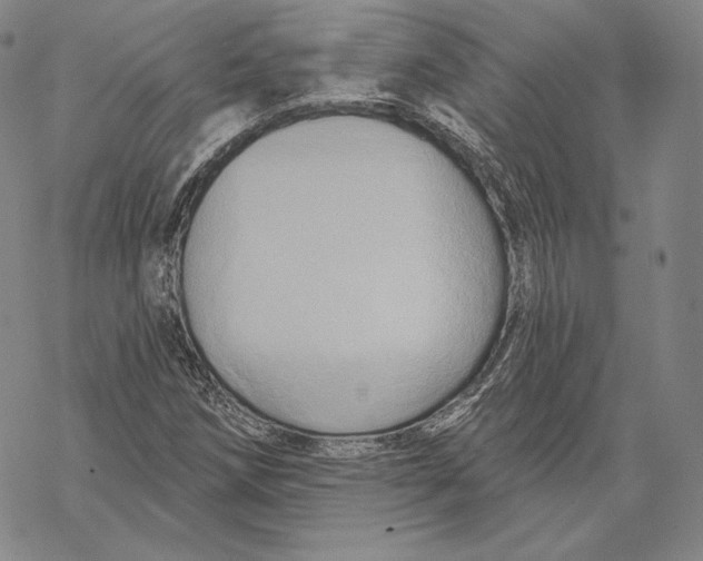 X0000068771258200605191639