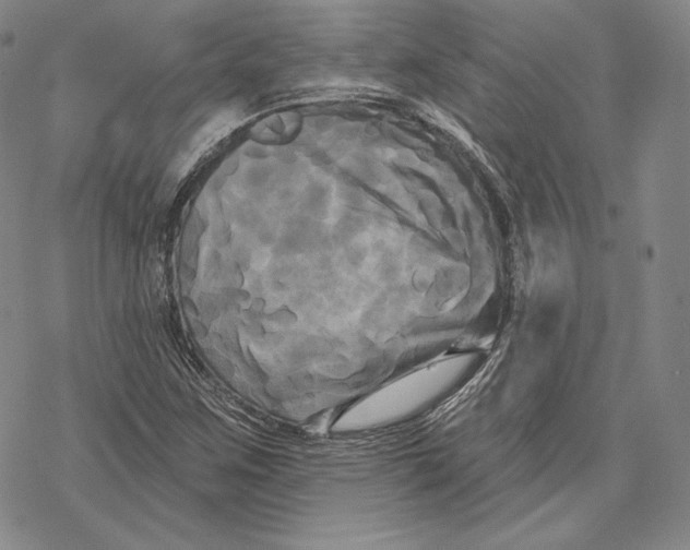 X0000068771259200605191639