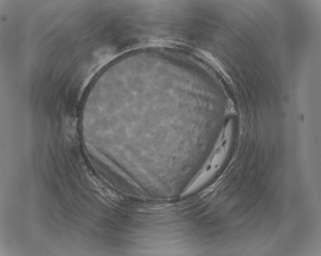 X0000068771260200605191639