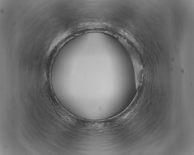 X0000068771261200605191639