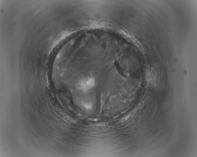 X0000068771262200605191639