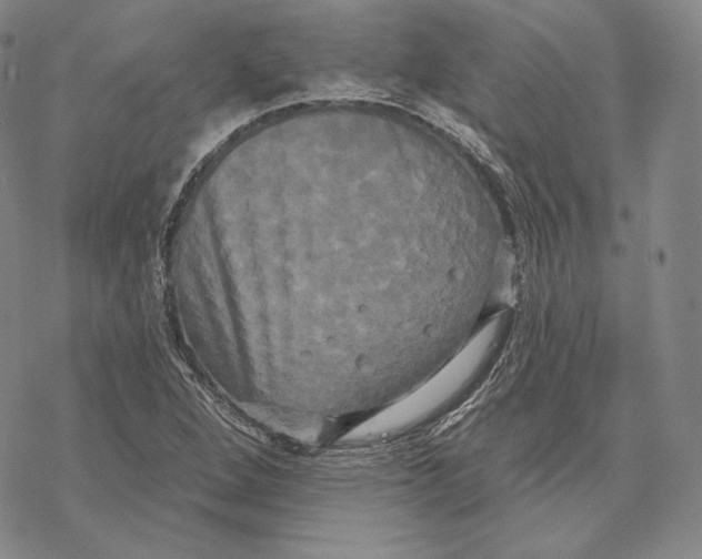 X0000068771264200605191639