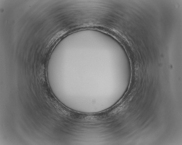 X0000068771265200605191639