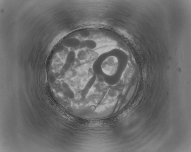 X0000068771267200605191639