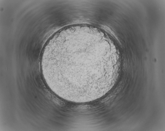 X0000068771268200605191639