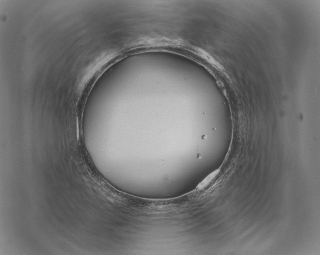 X0000068771269200605191639