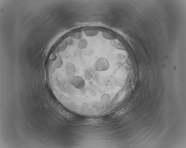 X0000068771271200605191639