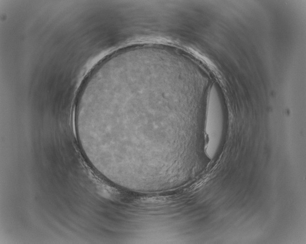 X0000068771272200605191639