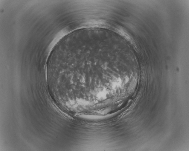 X0000068771275200605191639