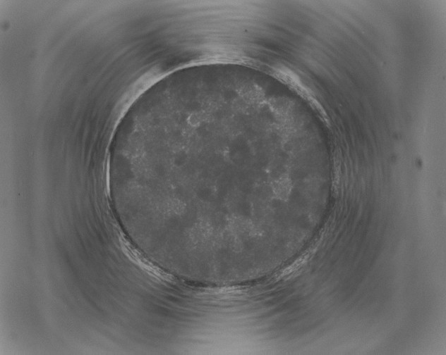 X0000068771276200605191639