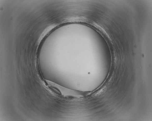 X0000068771277200605191639