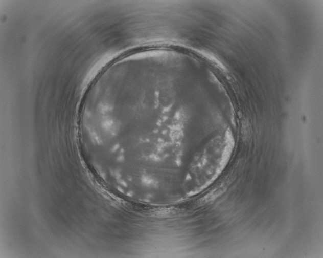 X0000068771279200605191639