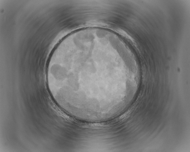 X0000068771280200605191639