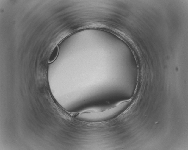 X0000068771281200605191639