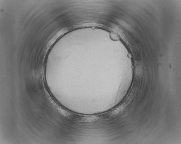 X0000068771282200605191639