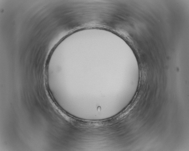 X0000068771286200605191639