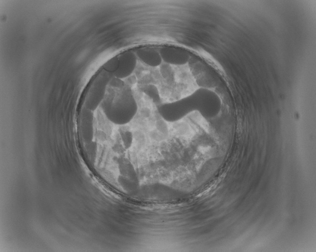 X0000068771287200605191639