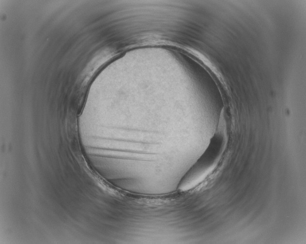 X0000068771289200605191639