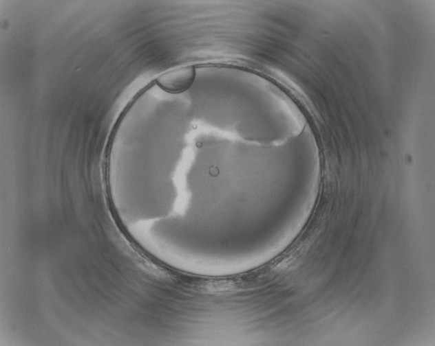 X0000068771291200605191639