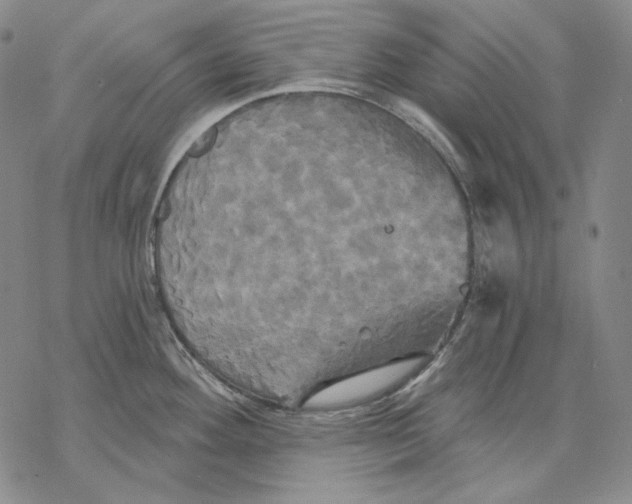 X0000068771292200605191639