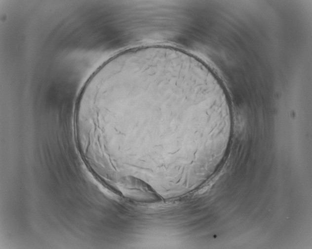 X0000068771294200605191639