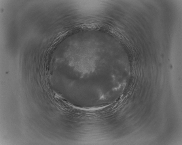 X0000068771297200605191638