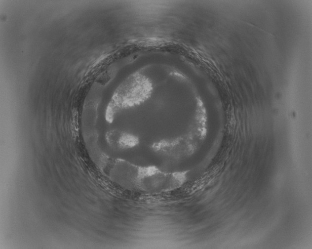 X0000068771301200605191638