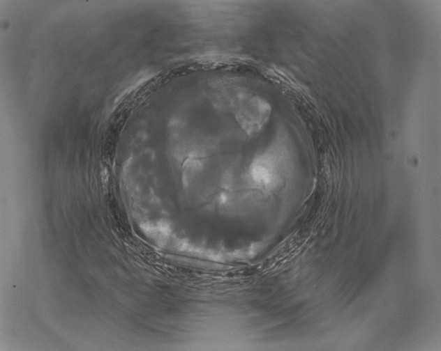 X0000068771302200605191638