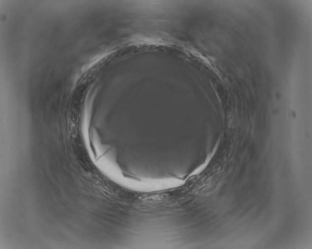 X0000068771303200605191638