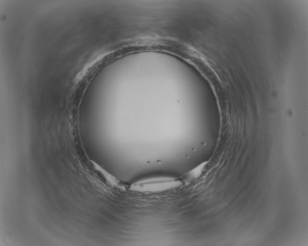 X0000068771304200605191638