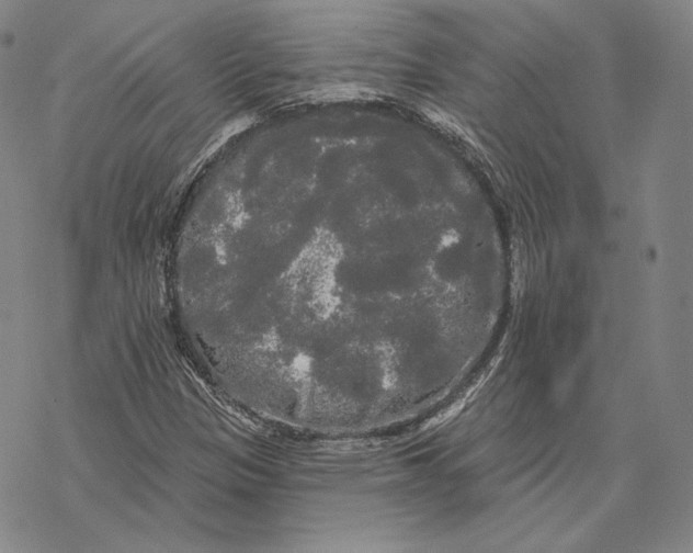 X0000068771305200605191638