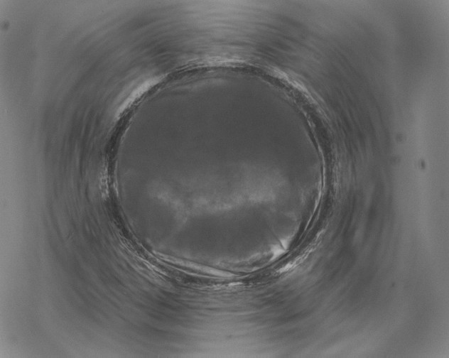 X0000068771306200605191638