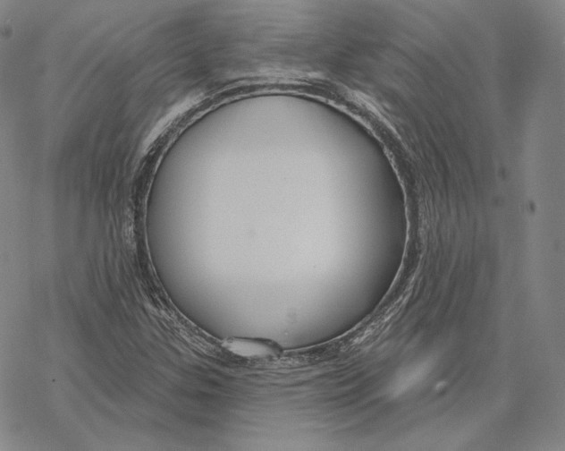 X0000068771307200605191638