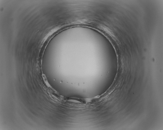 X0000068771308200605191638