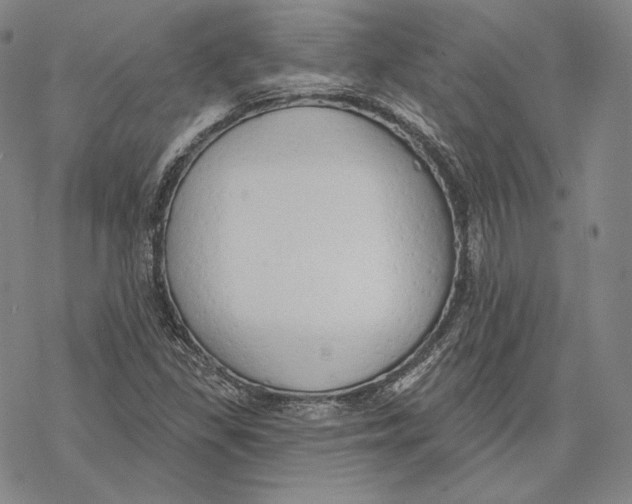 X0000068771309200605191638