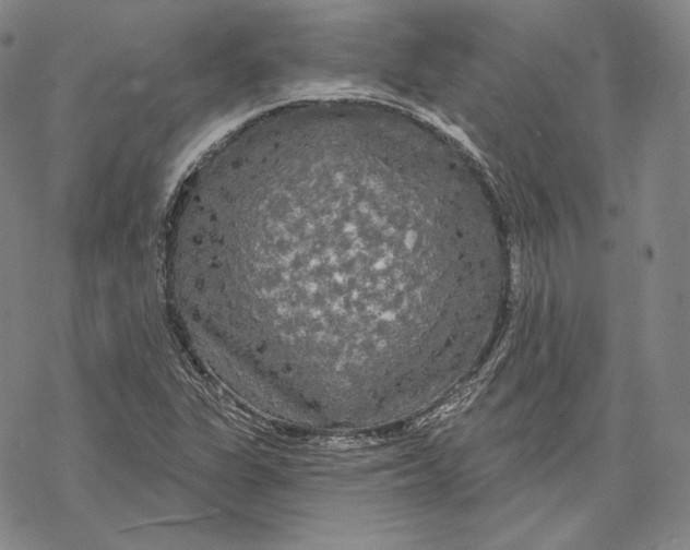 X0000068771311200605191638