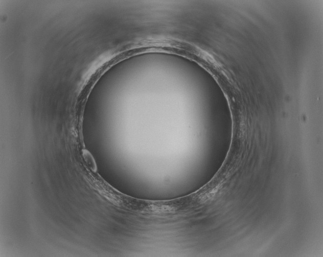 X0000068771312200605191638