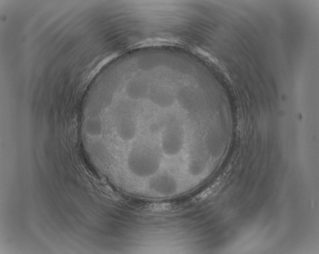 X0000068771313200605191638