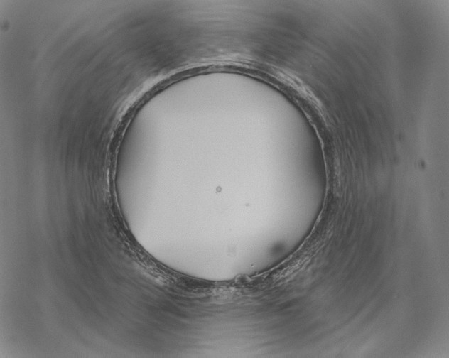 X0000068771316200605191638