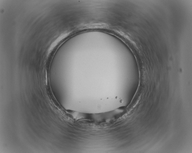 X0000068771317200605191638