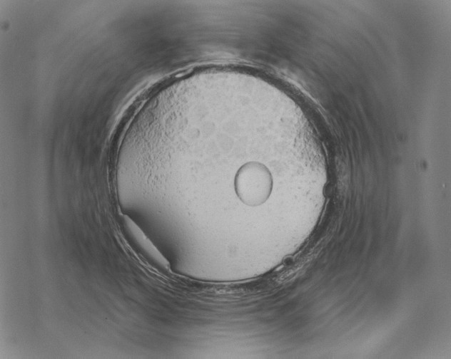 X0000068771318200605191638