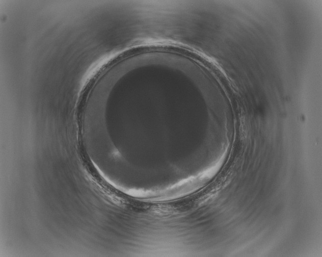 X0000068771319200605191638