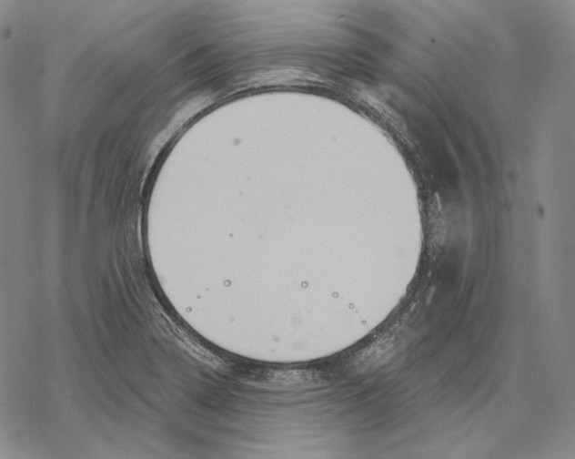 X0000068771322200605191638