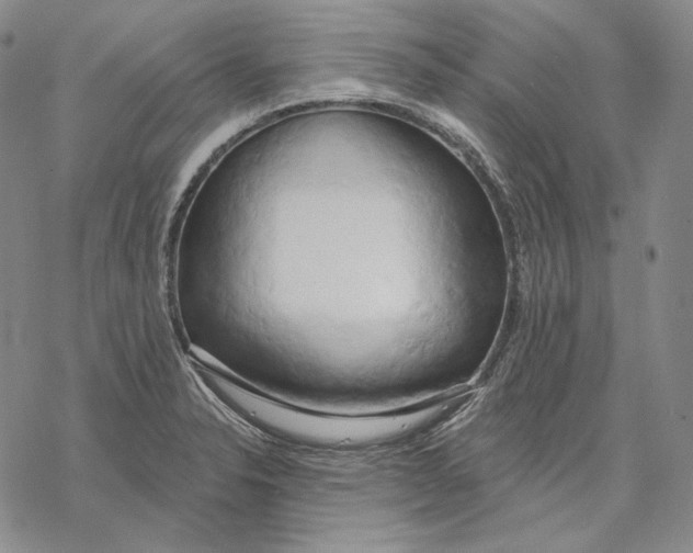 X0000068771326200605191638