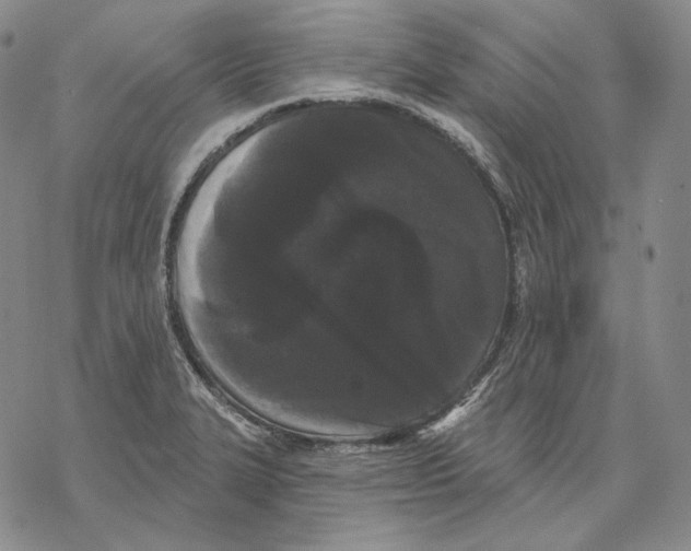 X0000068771327200605191638