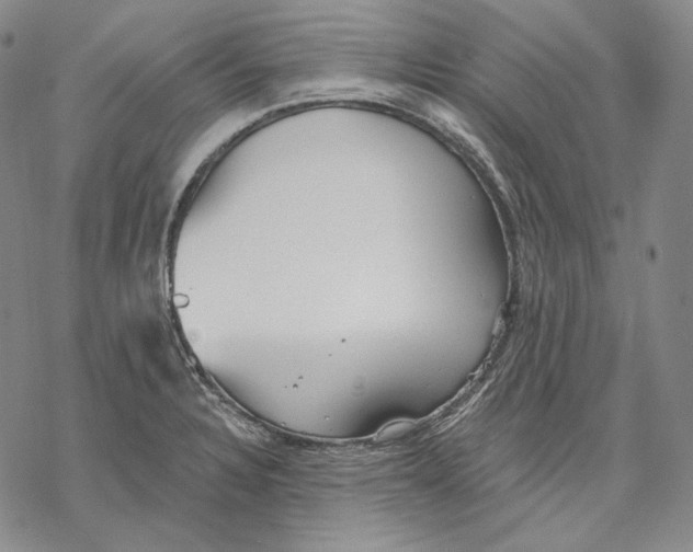 X0000068771328200605191638