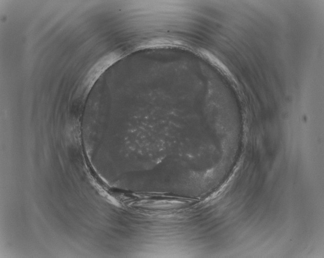 X0000068771329200605191638