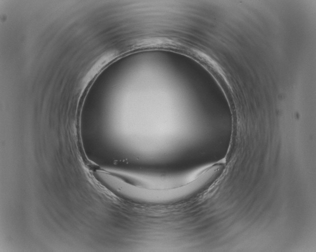 X0000068771330200605191638