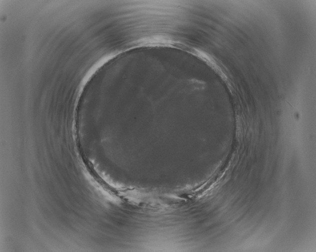 X0000068771331200605191638